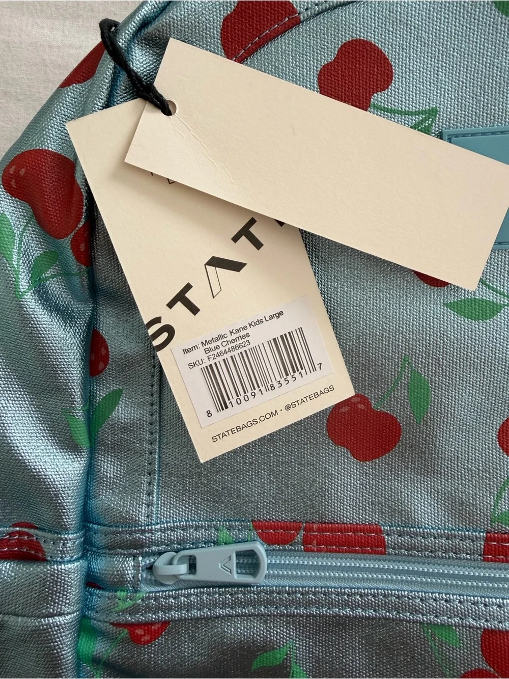 STATE Bags Kane Double Pocket Large Backpack- Metallic Blue Cherries